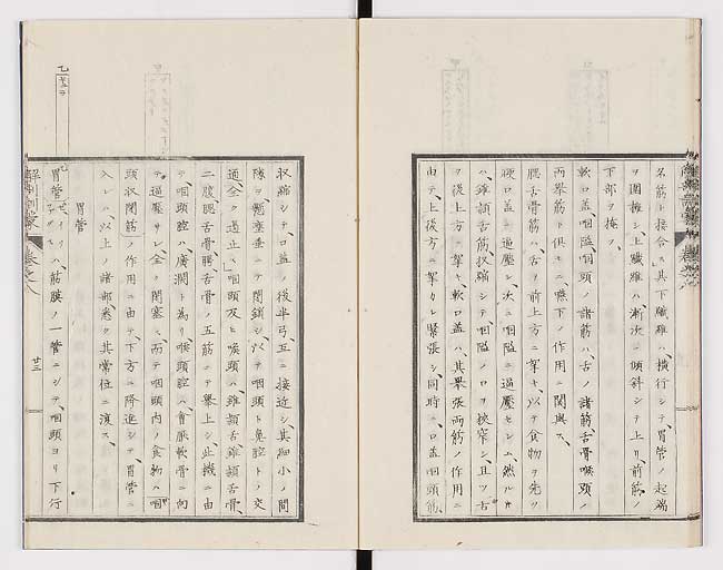 K0021s0256