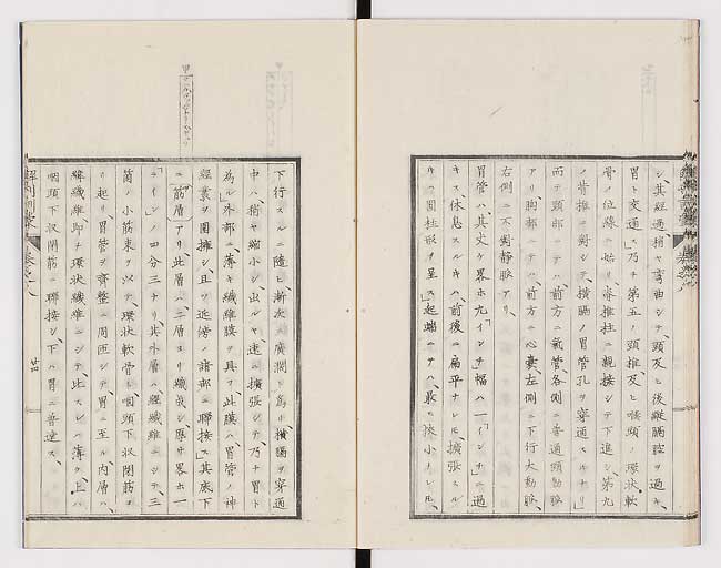 K0021s0257
