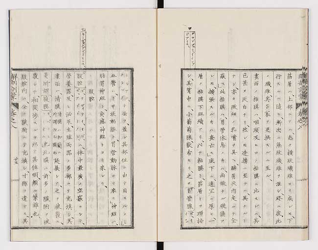 K0021s0258