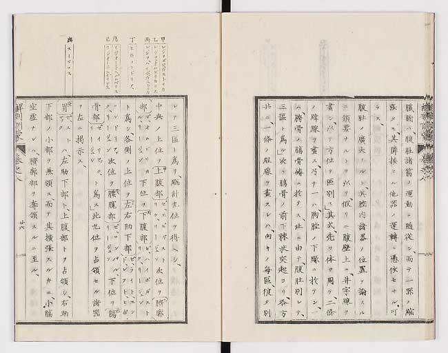 K0021s0259