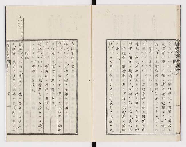K0021s0260