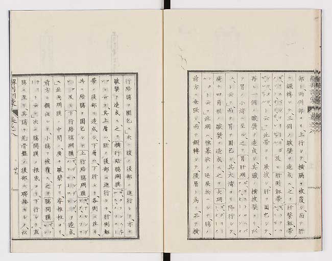 K0021s0262
