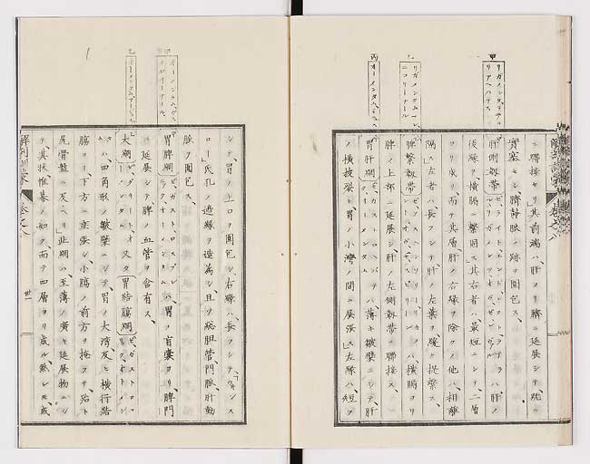 K0021s0264