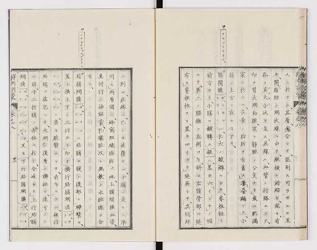 K0021s0265