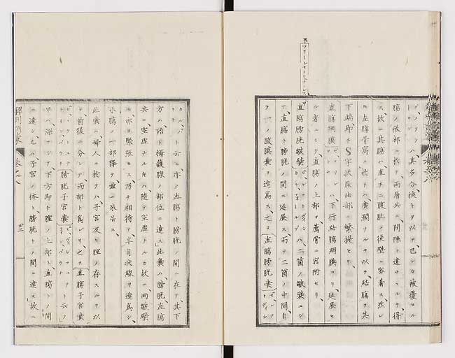 K0021s0266