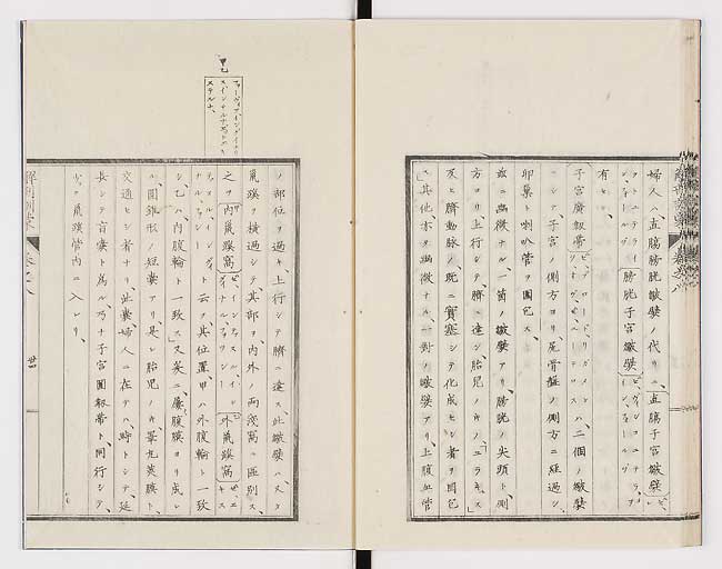K0021s0267