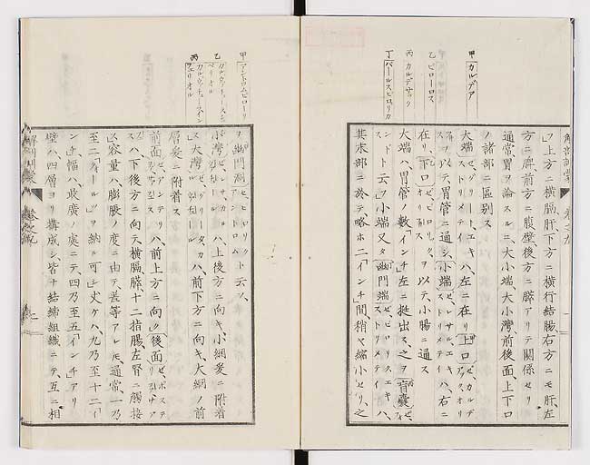 K0021s0272