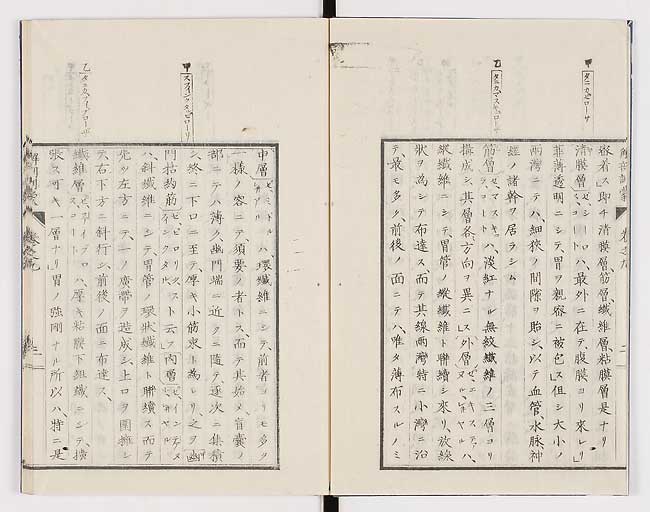 K0021s0273