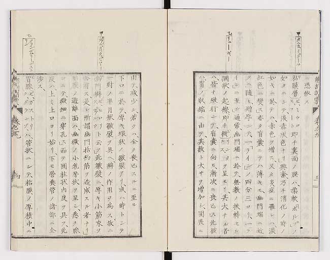K0021s0274