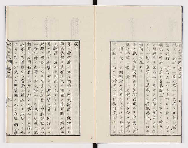 K0021s0275