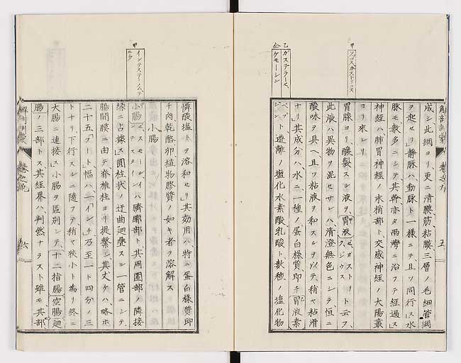 K0021s0276