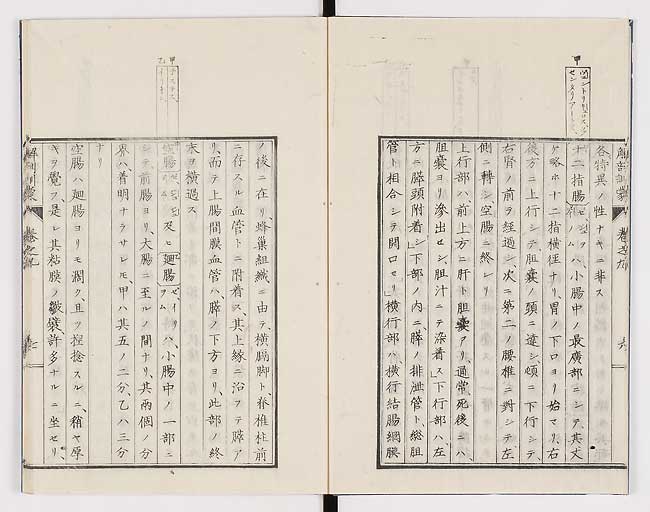 K0021s0277