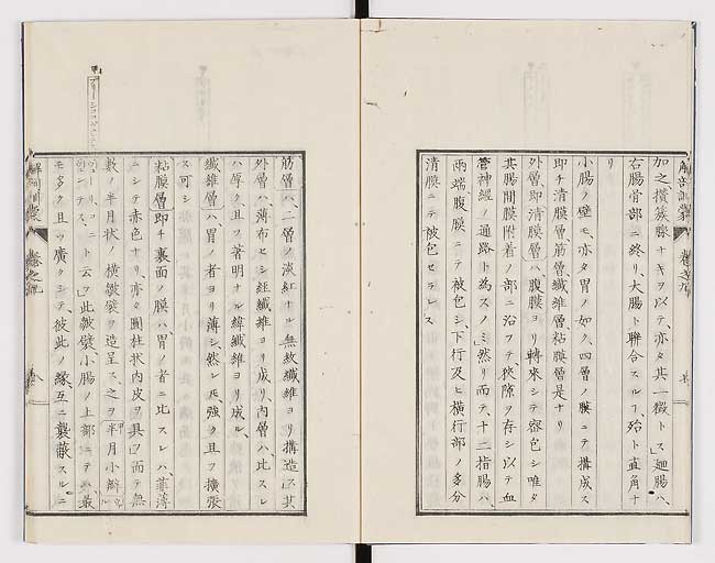 K0021s0278