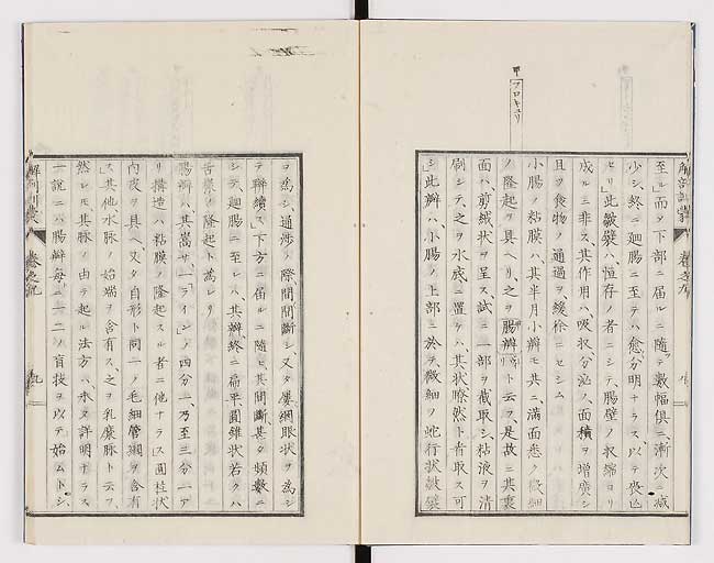 K0021s0279