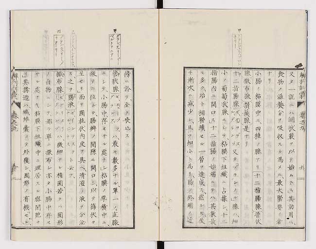 K0021s0280