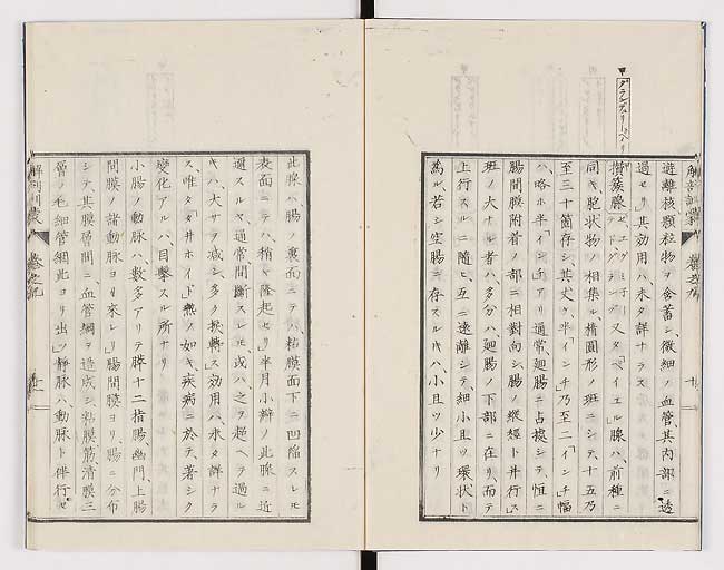 K0021s0281