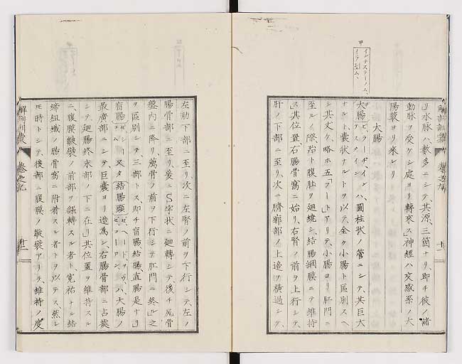 K0021s0282