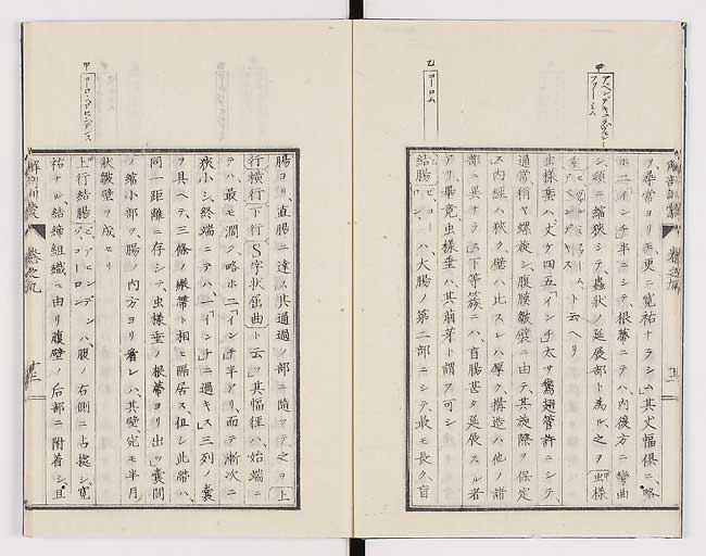 K0021s0283