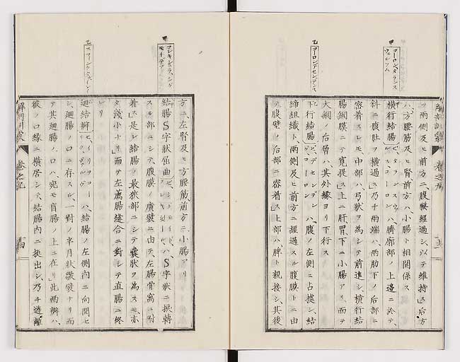 K0021s0284