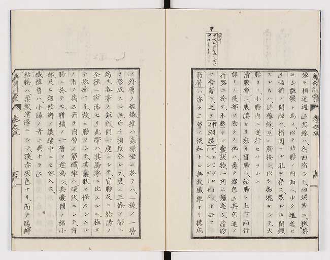 K0021s0285