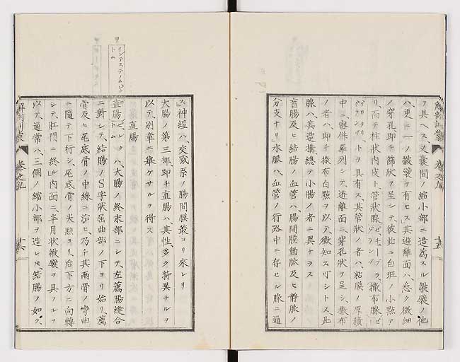 K0021s0286