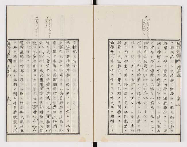 K0021s0287
