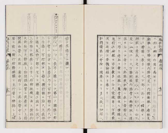 K0021s0288
