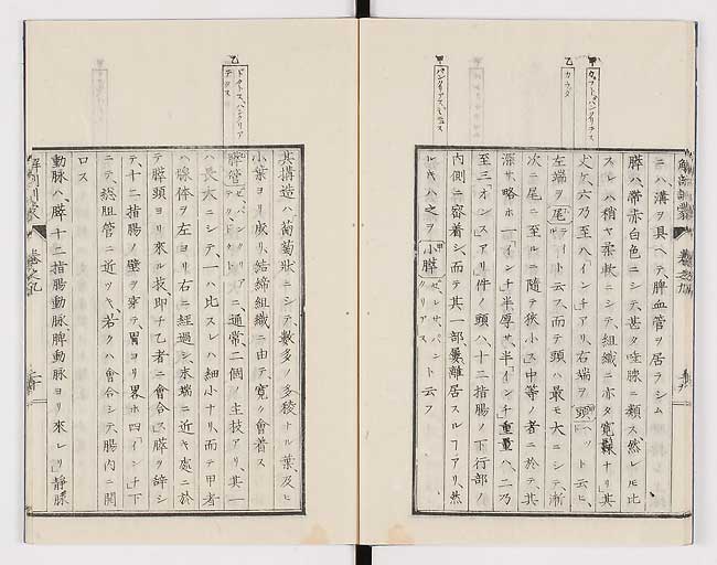 K0021s0289