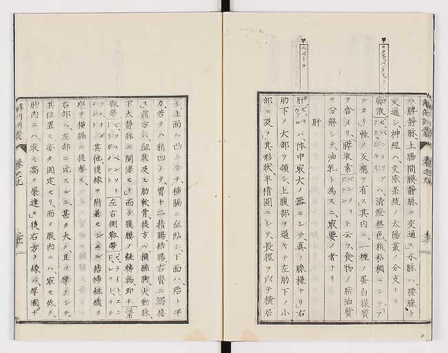K0021s0290