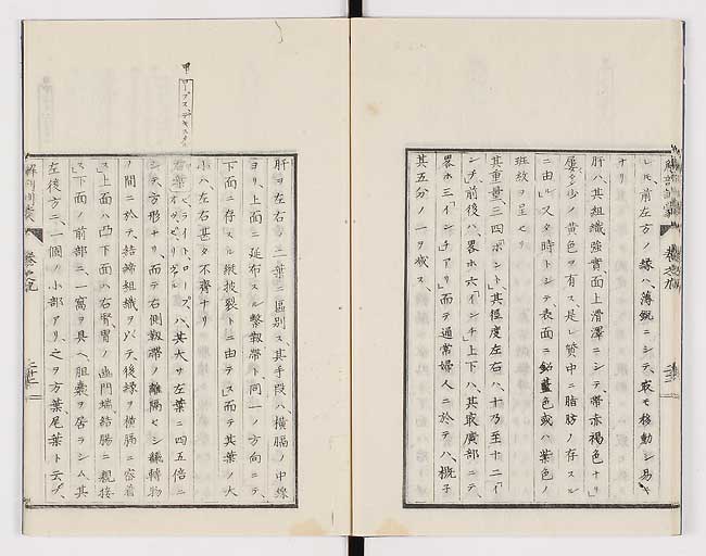 K0021s0291