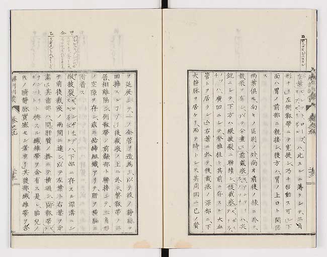 K0021s0292
