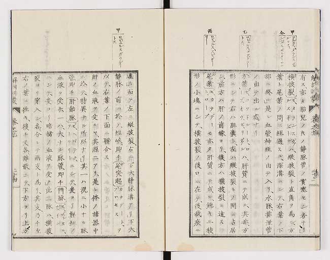 K0021s0293