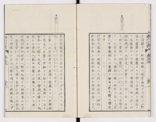 K0021s0295