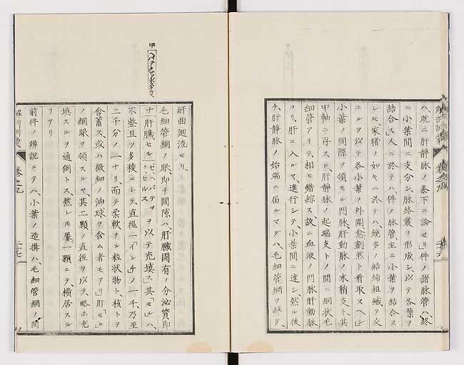 K0021s0296