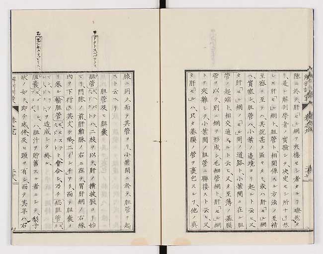 K0021s0297