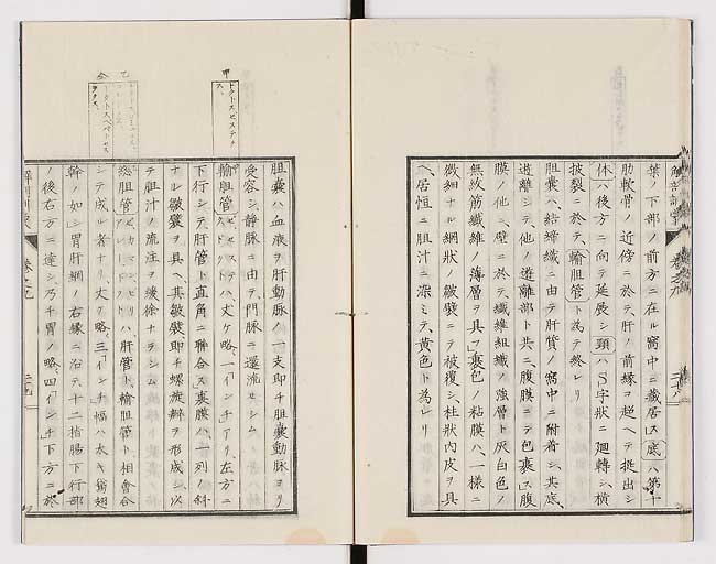 K0021s0298