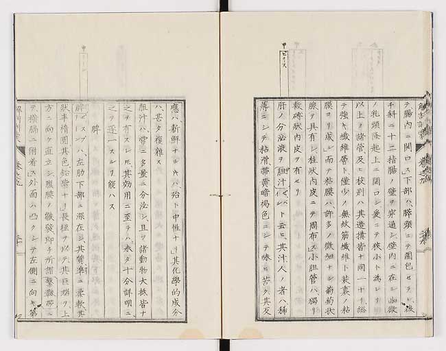 K0021s0299