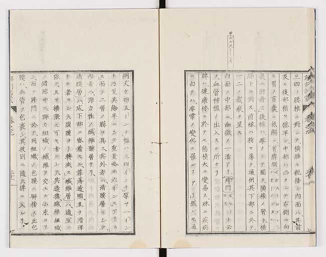 K0021s0300