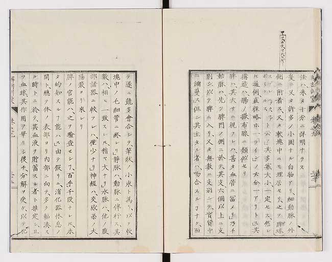 K0021s0302