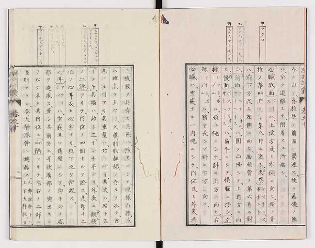 K0021s0307