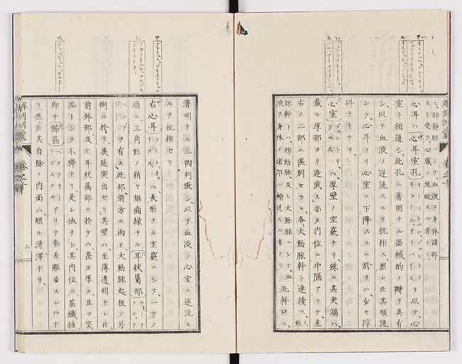 K0021s0308