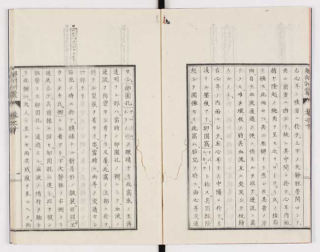 K0021s0309