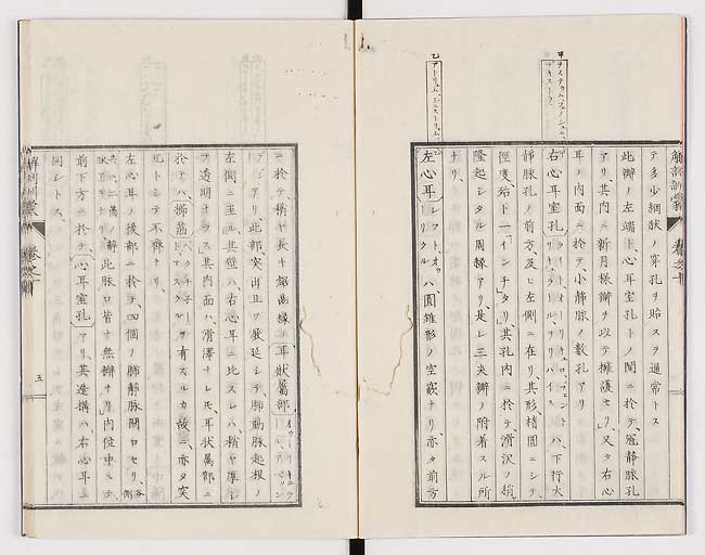 K0021s0310