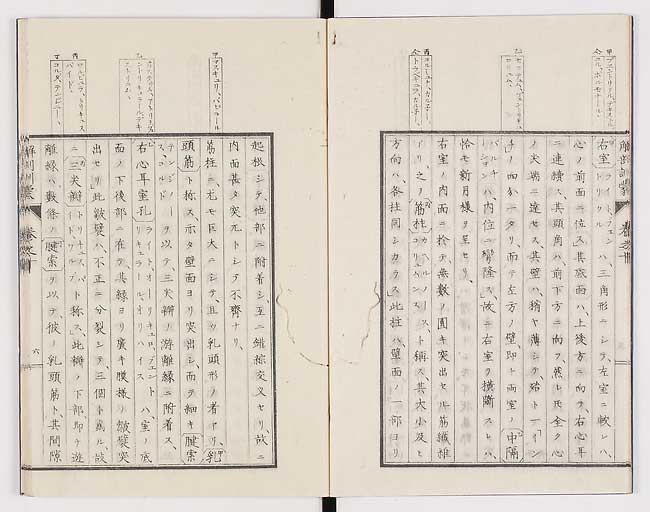 K0021s0311