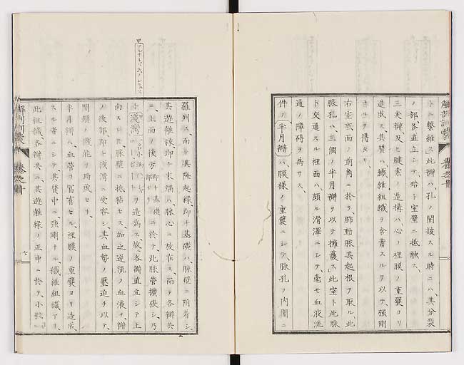 K0021s0312