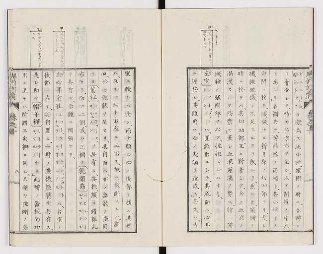 K0021s0313