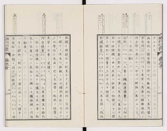 K0021s0314