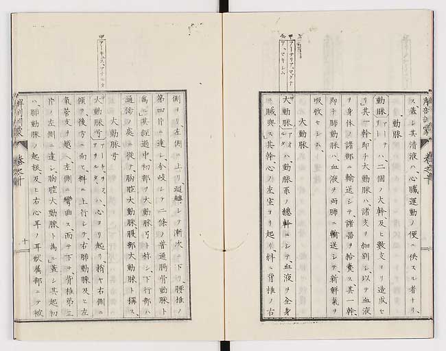 K0021s0315