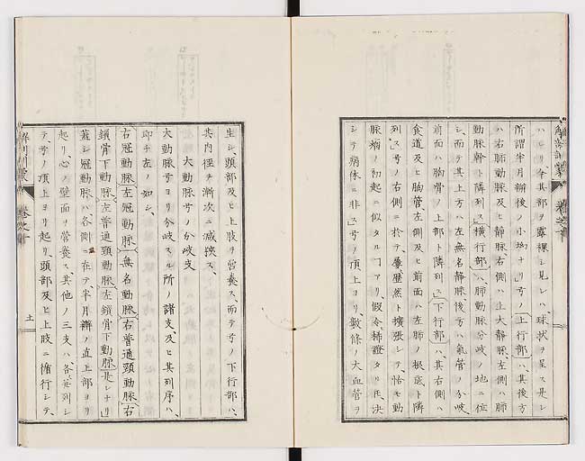 K0021s0316