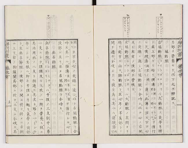K0021s0317